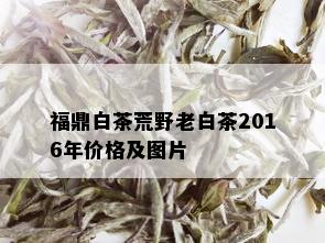 福鼎白茶荒野老白茶2016年价格及图片