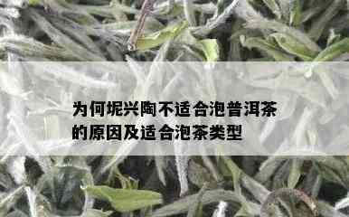 为何坭兴陶不适合泡普洱茶的原因及适合泡茶类型