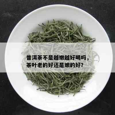 普洱茶不是越嫩越好喝吗，茶叶老的好还是嫩的好？