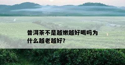 普洱茶不是越嫩越好喝吗为什么越老越好？