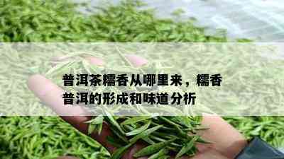 普洱茶糯香从哪里来，糯香普洱的形成和味道分析