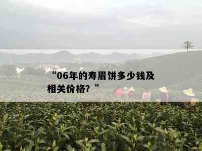 “06年的寿眉饼多少钱及相关价格？”