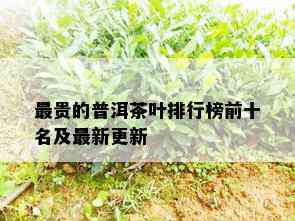 最贵的普洱茶叶排行榜前十名及最新更新