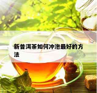 新普洱茶如何冲泡更好的方法