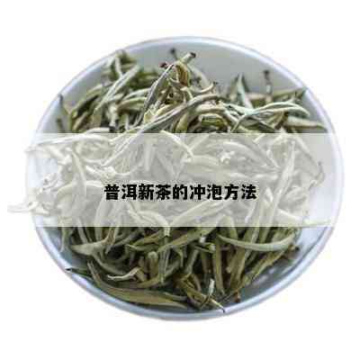 普洱新茶的冲泡方法