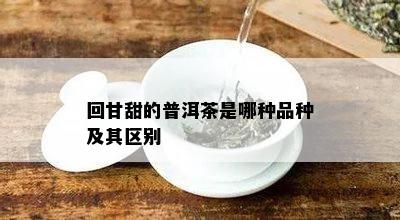 回甘甜的普洱茶是哪种品种及其区别