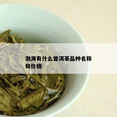 渤海有什么普洱茶品种名称和价格