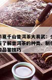 华夏千山普洱茶大易武：全面了解普洱茶的种类、制作和品鉴技巧