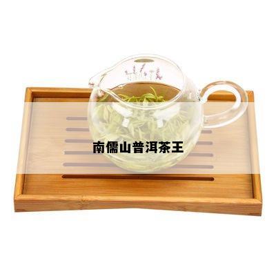 南儒山普洱茶王