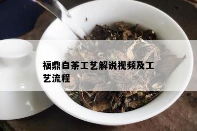 福鼎白茶工艺解说视频及工艺流程