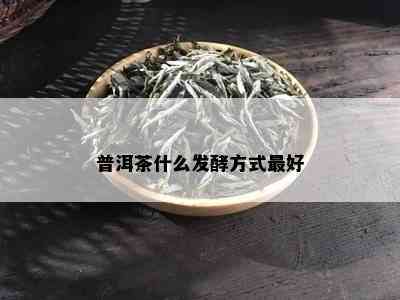 普洱茶什么发酵方式更好