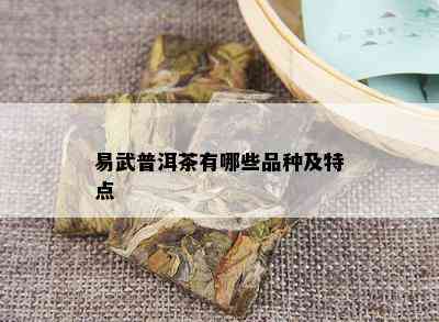 易武普洱茶有哪些品种及特点