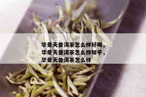 华景天普洱茶怎么样好喝，华景天普洱茶怎么样知乎，华景天普洱茶怎么样