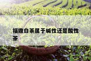 福鼎白茶属于碱性还是酸性茶