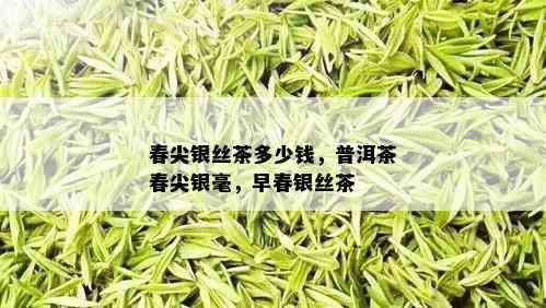 春尖银丝茶多少钱，普洱茶春尖银毫，早春银丝茶