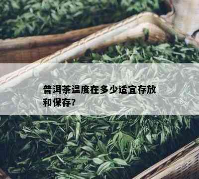 普洱茶温度在多少适宜存放和保存？