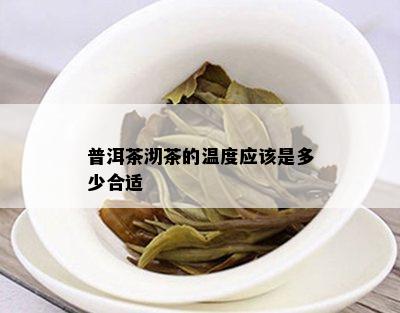 普洱茶沏茶的温度应该是多少合适