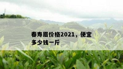 春寿眉价格2021，便宜多少钱一斤