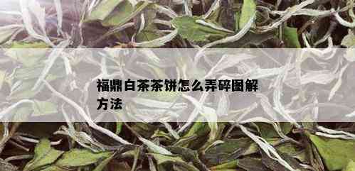 福鼎白茶茶饼怎么弄碎图解方法