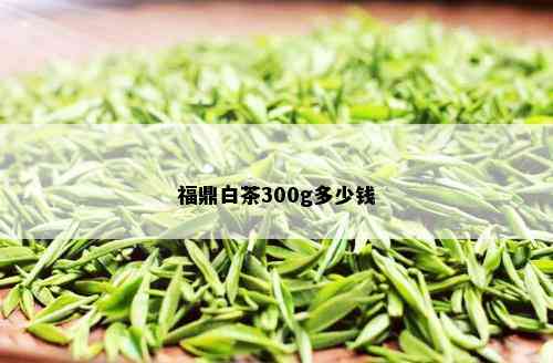 福鼎白茶300g多少钱