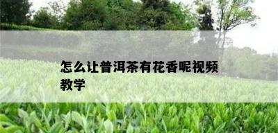 怎么让普洱茶有花香呢视频教学