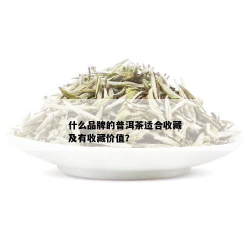 什么品牌的普洱茶适合收藏及有收藏价值？