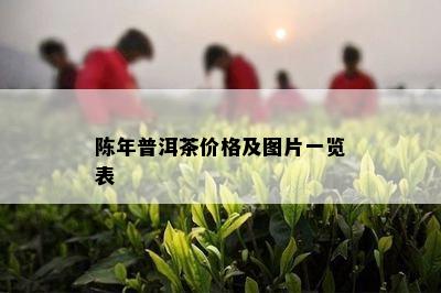 陈年普洱茶价格及图片一览表