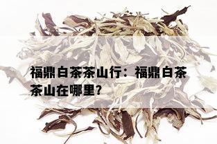 福鼎白茶茶山行：福鼎白茶茶山在哪里？