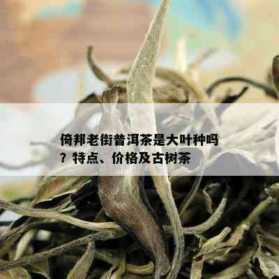 倚邦老街普洱茶是大叶种吗？特点、价格及古树茶