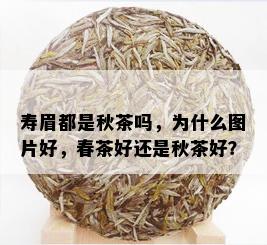 寿眉都是秋茶吗，为什么图片好，春茶好还是秋茶好？