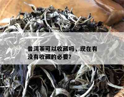 普洱茶可以收藏吗，现在有没有收藏的必要？