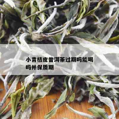 小青桔皮普洱茶过期吗能喝吗并保质期