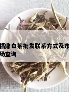 福鼎白茶批发联系方式及市场查询