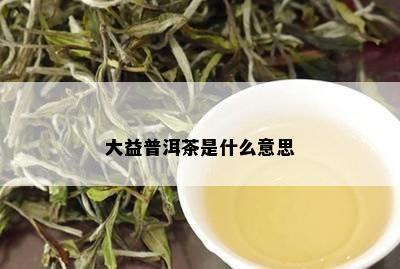 大益普洱茶是什么意思