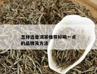 怎样选普洱茶推荐好喝一点的品牌及方法