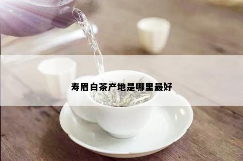 寿眉白茶产地是哪里更好