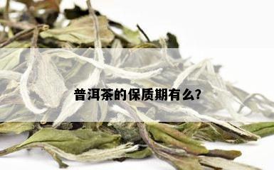 普洱茶的保质期有么？