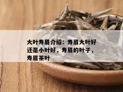 大叶寿眉介绍：寿眉大叶好还是小叶好，寿眉的叶子，寿眉茶叶