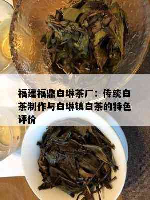 福建福鼎白琳茶厂：传统白茶制作与白琳镇白茶的特色评价