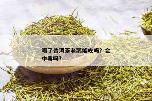 喝了普洱茶老鹅能吃吗？会中吗？