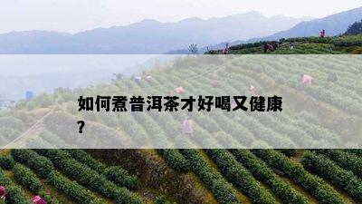 如何煮普洱茶才好喝又健康？