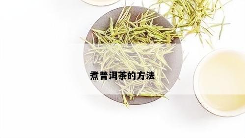 煮普洱茶的方法