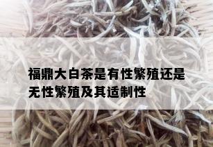 福鼎大白茶是有性繁殖还是无性繁殖及其适制性