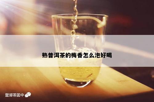 熟普洱茶的梅香怎么泡好喝