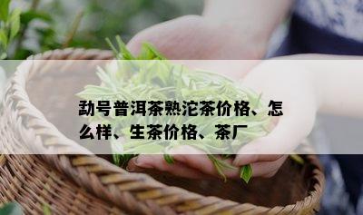 勐号普洱茶熟沱茶价格、怎么样、生茶价格、茶厂