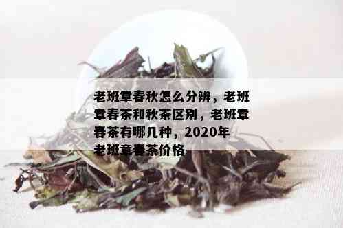 老班章春秋怎么分辨，老班章春茶和秋茶区别，老班章春茶有哪几种，2020年老班章春茶价格