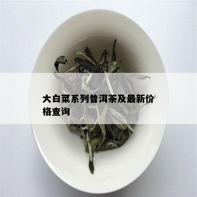 大白菜系列普洱茶及最新价格查询