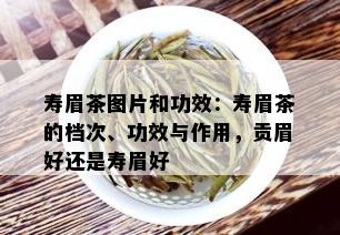 寿眉茶图片和功效：寿眉茶的档次、功效与作用，贡眉好还是寿眉好