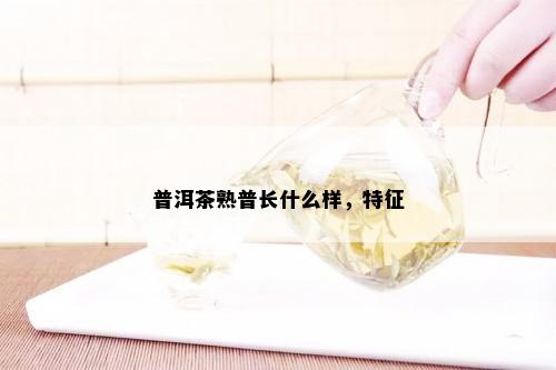 普洱茶熟普长什么样，特征