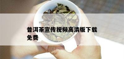 普洱茶宣传视频高清版下载免费